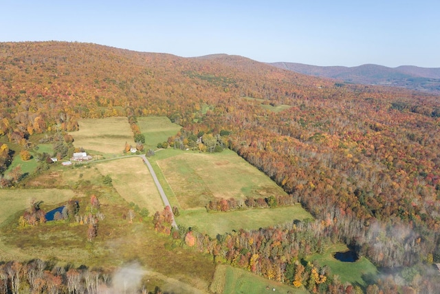 bird's eye view featuring a mountain view