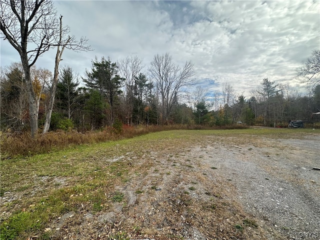 00 State Route 12, Remsen NY, 13438 land for sale