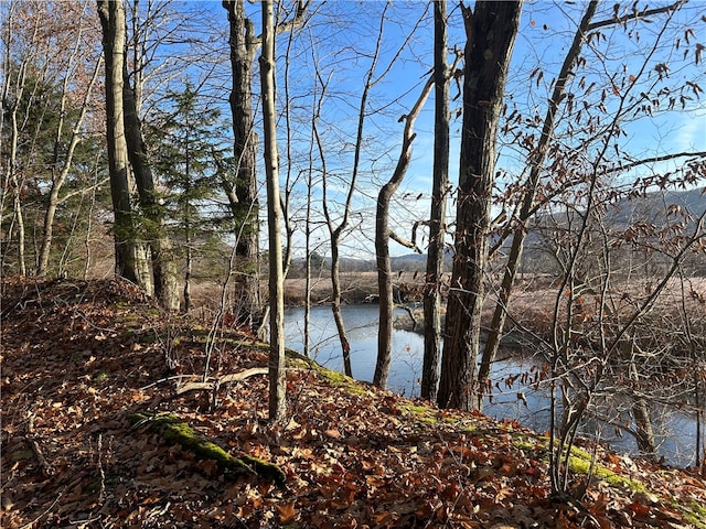 33830 State Highway 10, Hamden, NY 13782