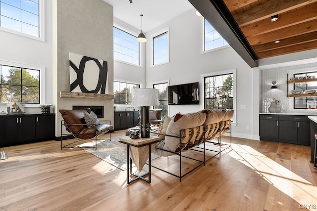 living room with a towering ceiling and light hardwood / wood-style flooring