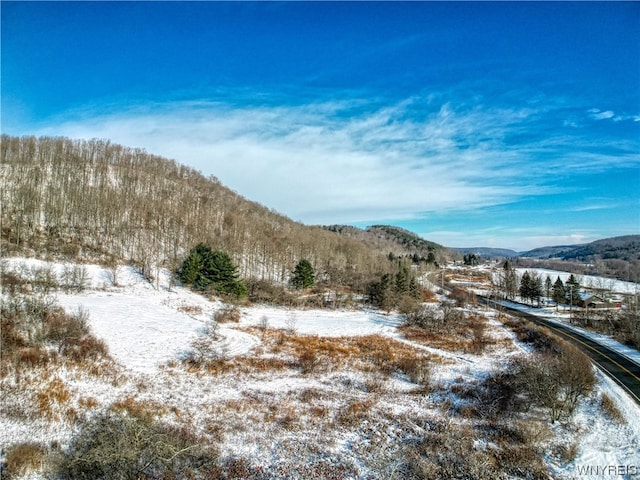 6020 Nys Rte 242, Lot Ellicottville NY, 14731 land for sale