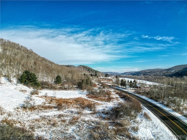 Listing photo 2 for 6020 Nys Rte 242, Lot Ellicottville NY 14731