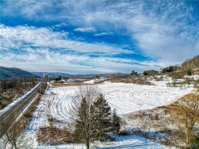 Listing photo 3 for 6020 Nys Rte 242, Lot Ellicottville NY 14731