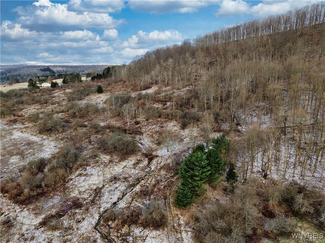 6020 Nys Rte 242, Lot Ellicottville, NY 14731 - photo 1