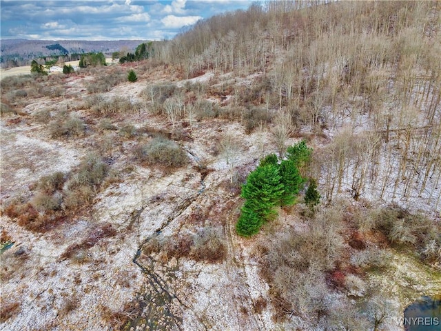6020 Nys Rte 242, Lot Ellicottville, NY 14731 - photo 2