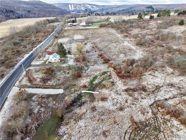 6020 Nys Rte 242, Lot Ellicottville, NY 14731 - photo 3