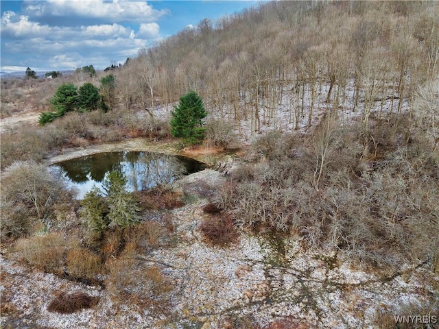 6020 Nys Rte 242, Lot Ellicottville, NY 14731 - photo 4