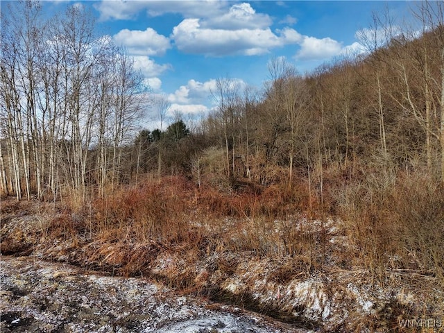 6020 Nys Rte 242, Lot Ellicottville, NY 14731 - photo 5
