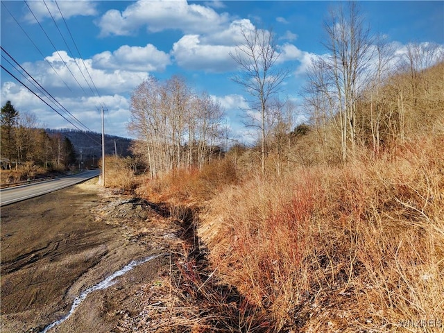 6020 Nys Rte 242, Lot Ellicottville, NY 14731 - photo 6
