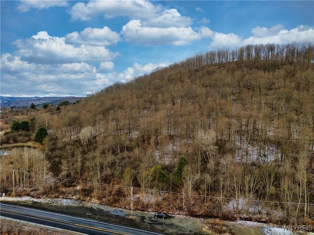 6020 Nys Rte 242, Lot Ellicottville, NY 14731 - photo 7