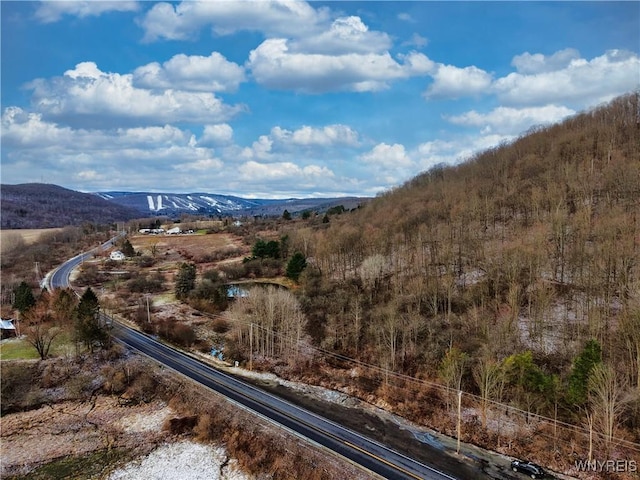 6020 Nys Rte 242, Lot Ellicottville, NY 14731 - photo 8
