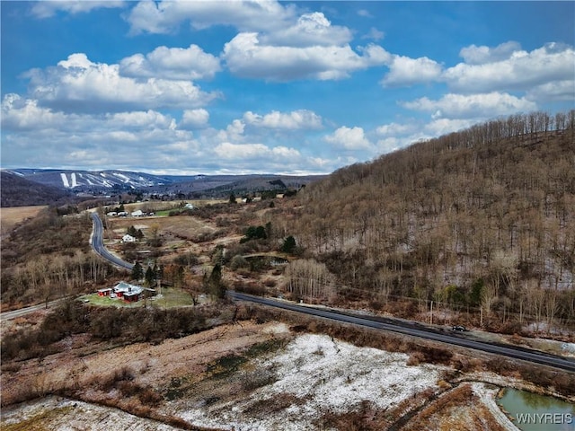 6020 Nys Rte 242, Lot Ellicottville, NY 14731 - photo 9