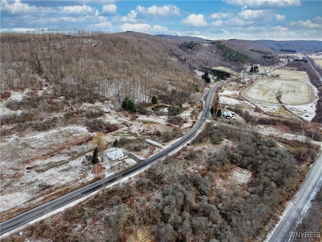 6020 Nys Rte 242, Lot Ellicottville, NY 14731 - photo 11