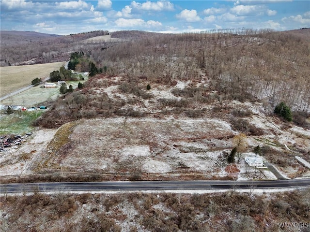 6020 Nys Rte 242, Lot Ellicottville, NY 14731 - photo 12