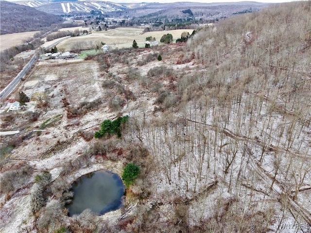 6020 Nys Rte 242, Lot Ellicottville, NY 14731 - photo 13