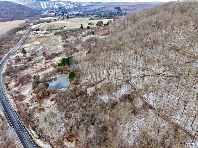 6020 Nys Rte 242, Lot Ellicottville, NY 14731 - photo 14