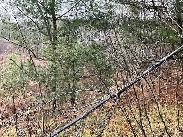 0 County Route 41, Wilna, NY 13665