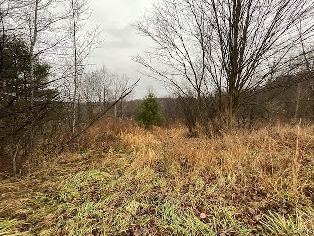 0 County Route 41, Wilna, NY 13665