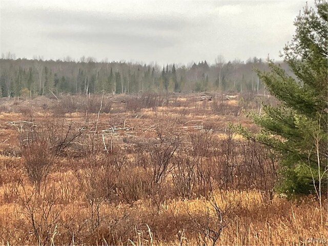 0 County Route 41, Wilna, NY 13665