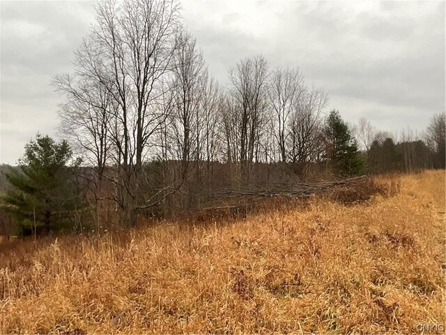 0 County Route 41, Wilna, NY 13665
