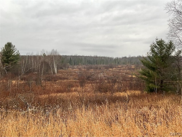0 County Route 41, Wilna, NY 13665