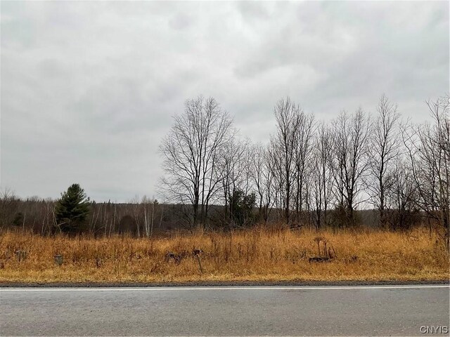 0 County Route 41, Wilna, NY 13665