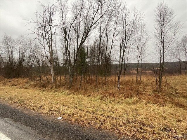 0 County Route 41, Wilna, NY 13665