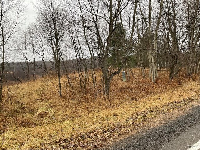 0 County Route 41, Wilna, NY 13665