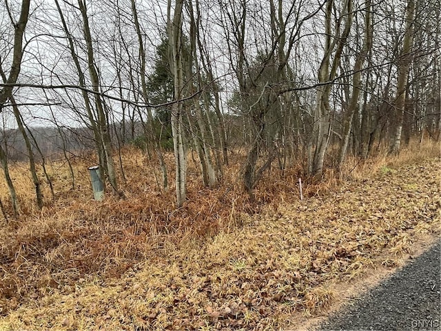 0 County Route 41, Wilna, NY 13665