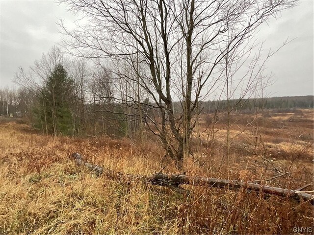 0 County Route 41, Wilna, NY 13665