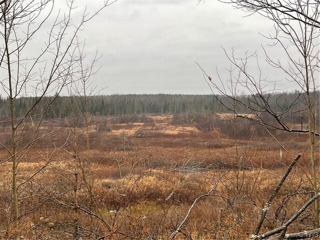0 County Route 41, Wilna, NY 13665