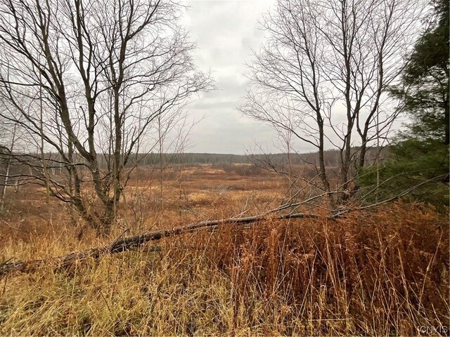 0 County Route 41, Wilna, NY 13665