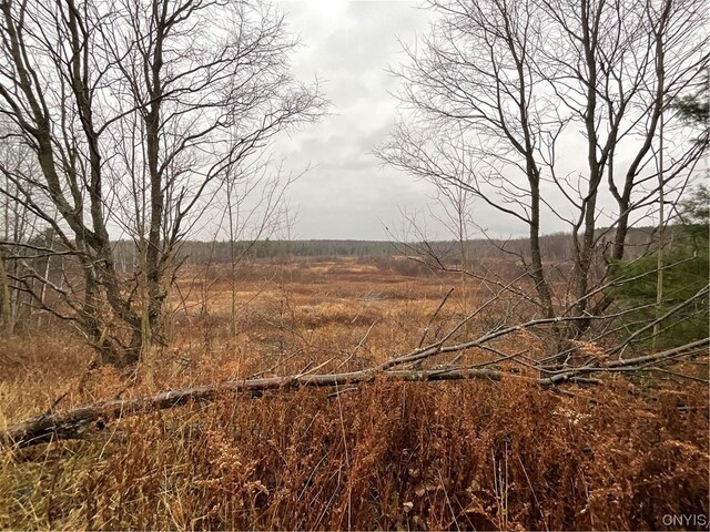 0 County Route 41, Wilna, NY 13665