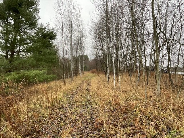 0 County Route 41, Wilna, NY 13665