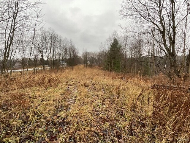 0 County Route 41, Wilna, NY 13665