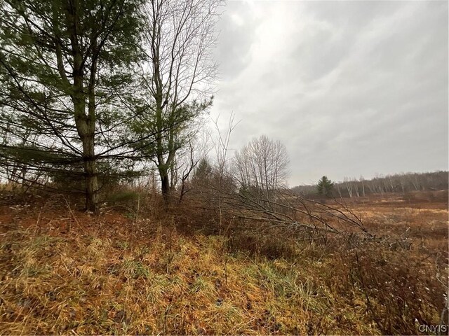 0 County Route 41, Wilna, NY 13665