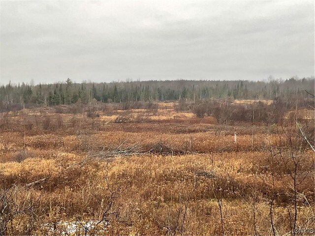0 County Route 41, Wilna, NY 13665