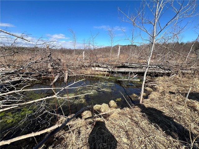 0 County Route 41, Wilna, NY 13665