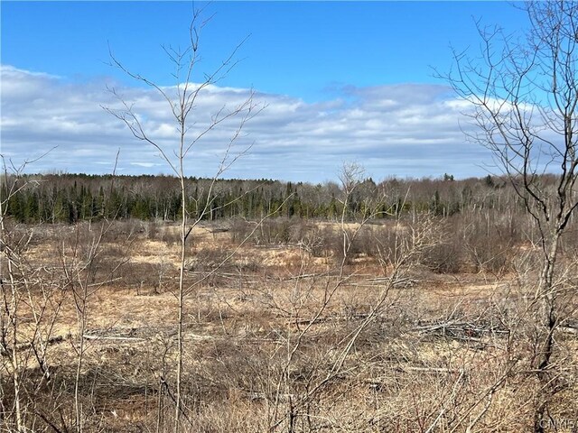 0 County Route 41, Wilna, NY 13665