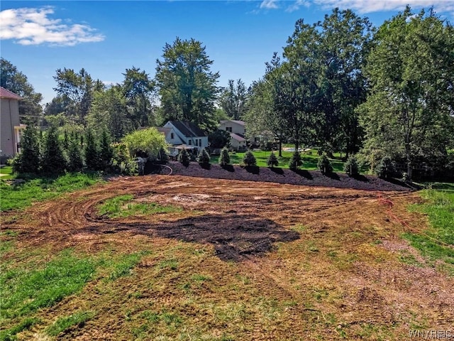 20 Van Pelt Ct, Amherst, NY 14051 - photo 6