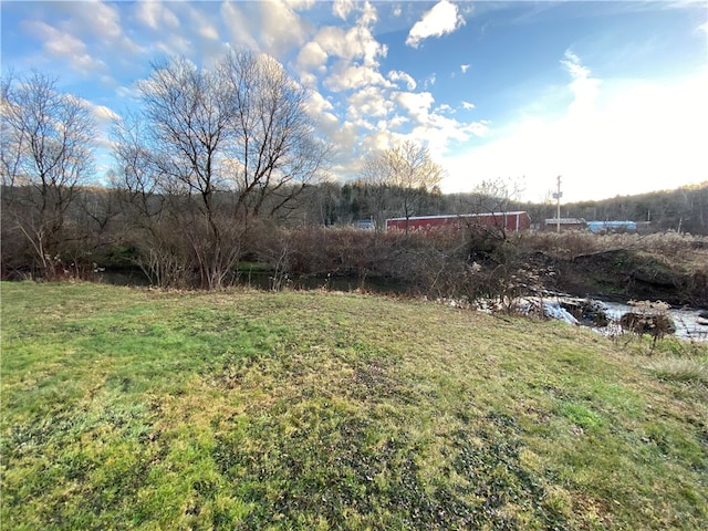 view of yard featuring a water view