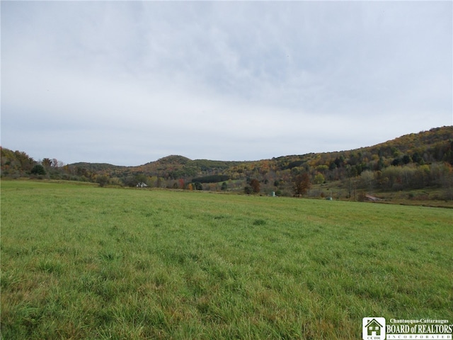 0 Horse Run Rd, Bolivar NY, 14715 land for sale