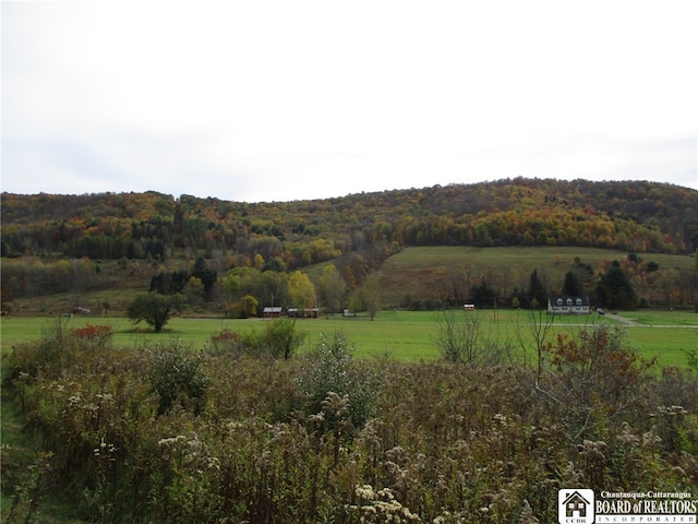 Listing photo 3 for 0 Horse Run Rd, Bolivar NY 14715