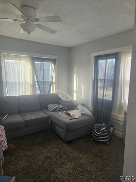 301 E Manlius St, Dewitt, NY 13057 - carpeted living room with ceiling fan and a baseboard heating unit