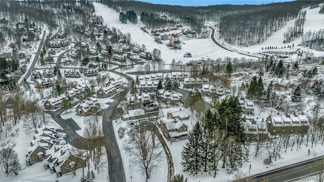 view of snowy aerial view