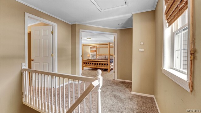 hallway with light colored carpet and crown molding