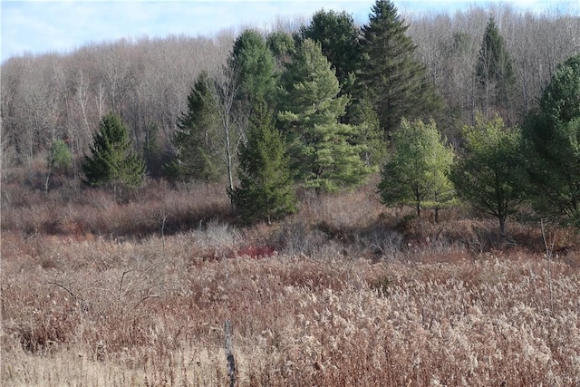 0 County Road 35, Oxford, NY 13830 - photo 4