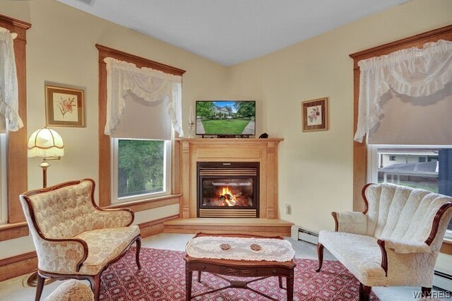 living area with carpet flooring and a baseboard heating unit