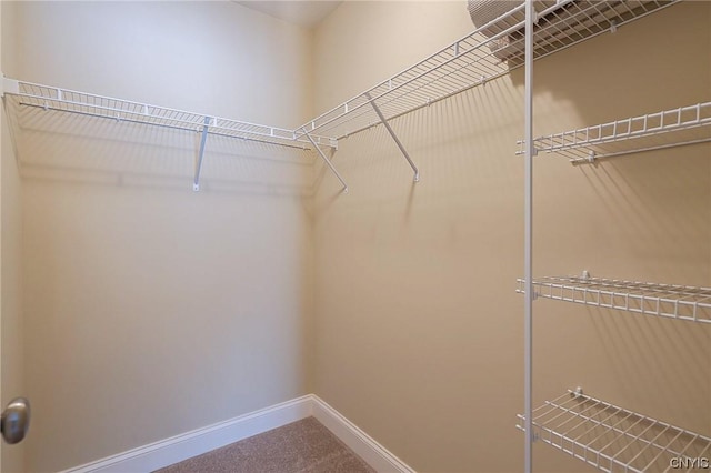 spacious closet featuring carpet