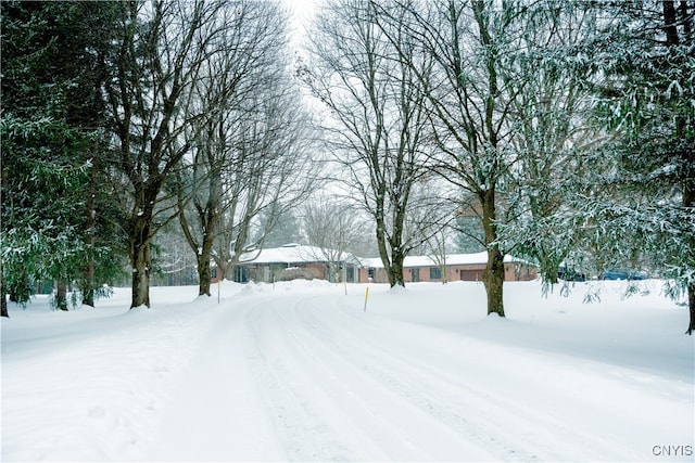 view of snowy yard